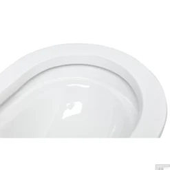 Douche WC RapoWash Basic Met Bidetspoeler En Afstandsbediening Rimless Wit -Zalig Baden Verkoopwinkel douche wc rapowash basic wit detail5